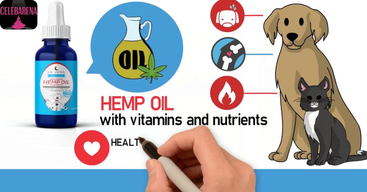 5 Things to Look for When Buying Hemp Oil for Your Pet