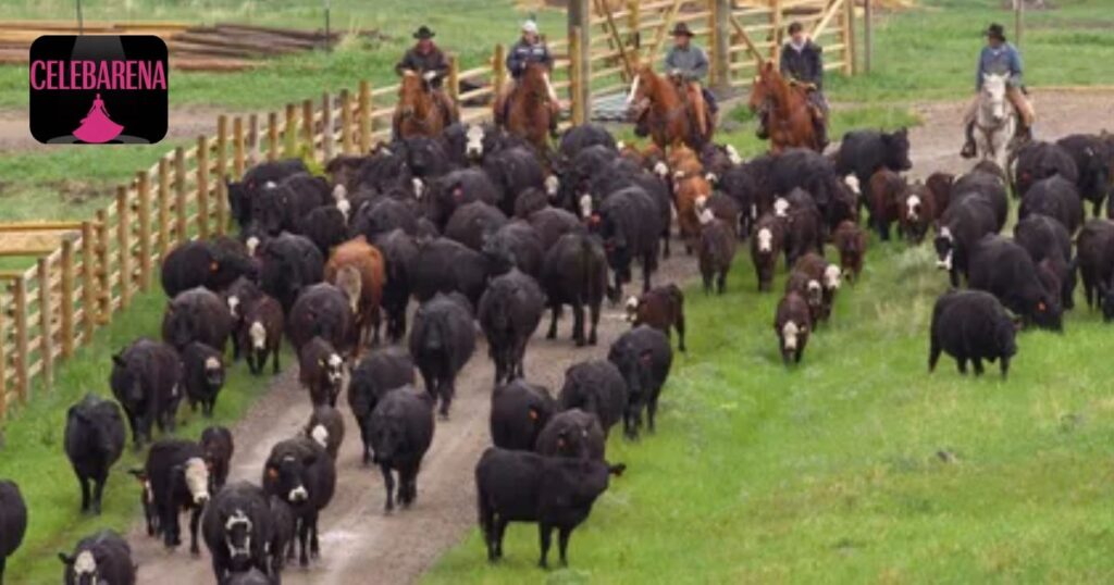 How Farming and Ranching Contributed to Her Wealth