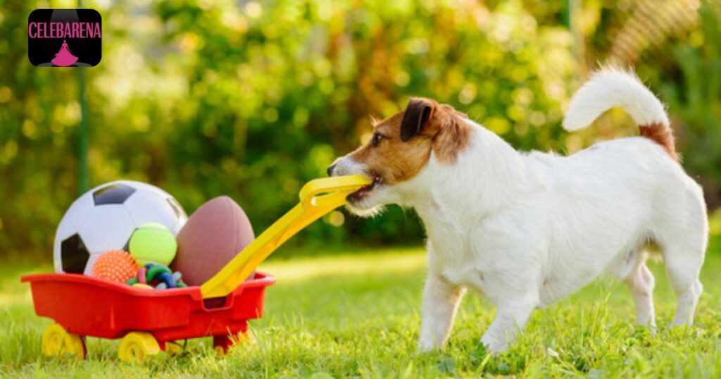 Flavor and Ease of Use for Pets