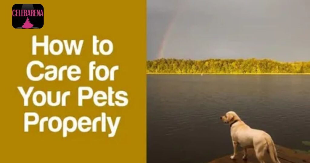 Proper Dosage Information for Pets