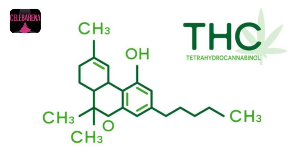 THC-Free and Pet-Safe Formula